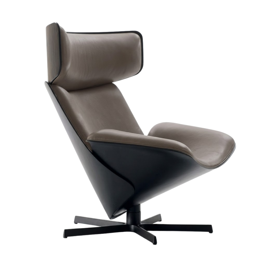 Briano Leisure Chair