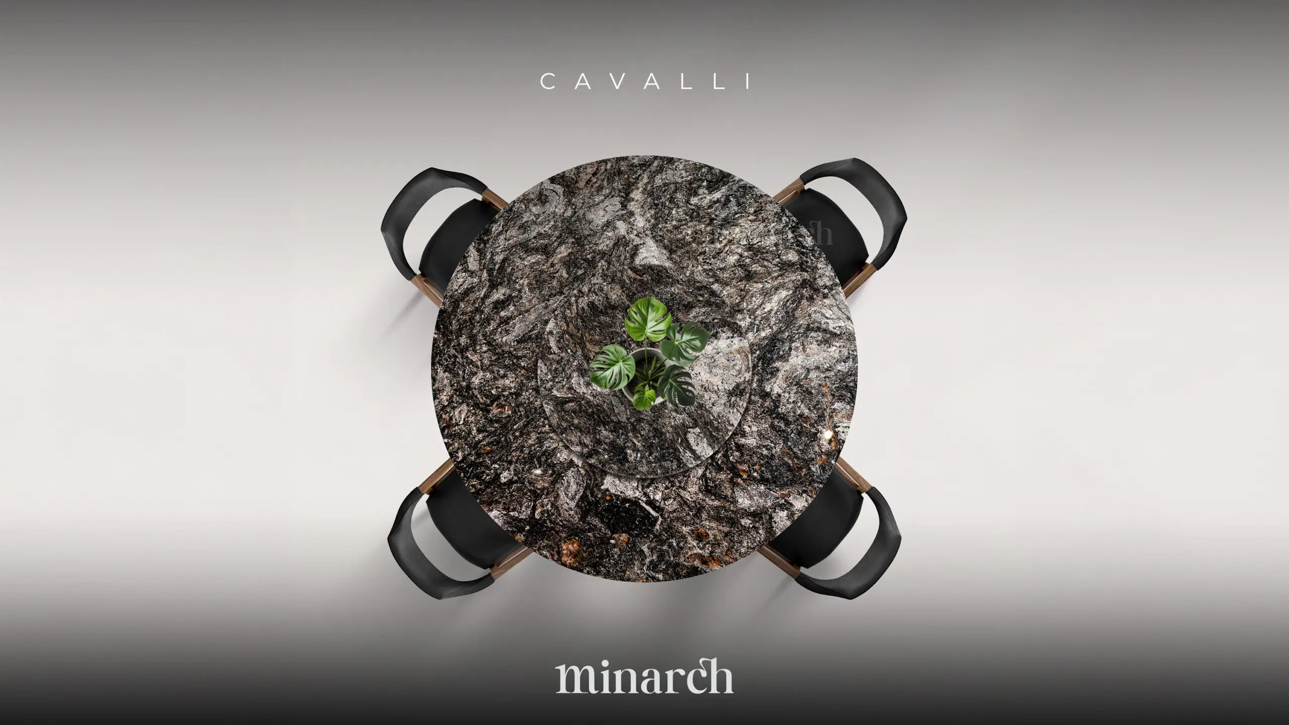 Cavalli_WBG_03